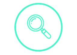 Vision Icon